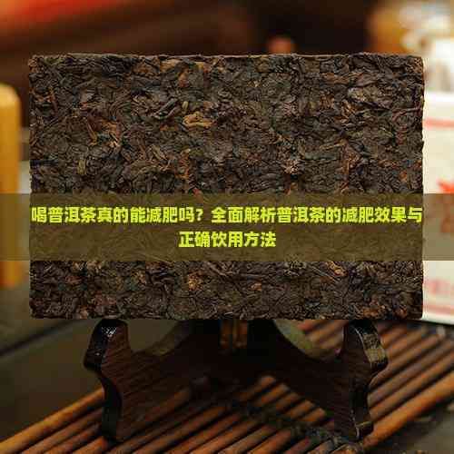 喝普洱茶真的能減肥嗎？全面解析普洱茶的減肥效果與正確飲用方法