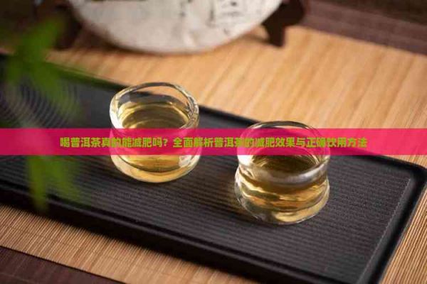 喝普洱茶真的能減肥嗎？全面解析普洱茶的減肥效果與正確飲用方法