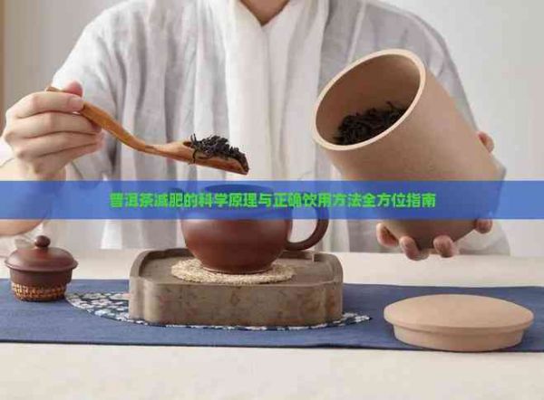 普洱茶減肥的科學(xué)原理與正確飲用方法全方位指南