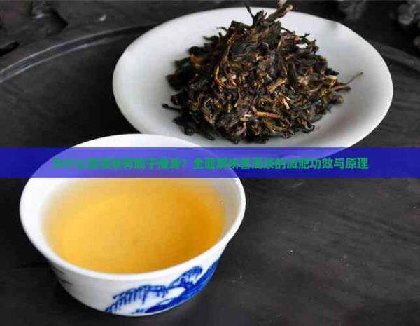 為什么普洱茶有助于瘦身？全面解析普洱茶的減肥功效與原理
