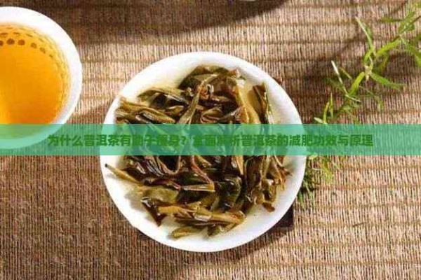 為什么普洱茶有助于瘦身？全面解析普洱茶的減肥功效與原理