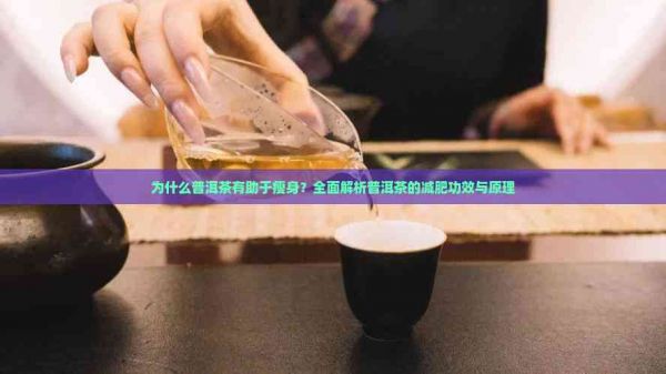 為什么普洱茶有助于瘦身？全面解析普洱茶的減肥功效與原理