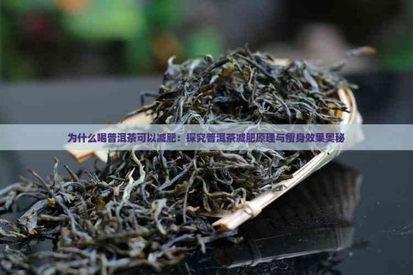 為什么喝普洱茶可以減肥：探究普洱茶減肥原理與瘦身效果奧秘