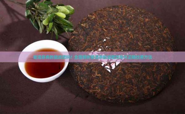 普洱茶真的能減肥嗎？全面解析普洱茶的減肥效果與正確飲用方法