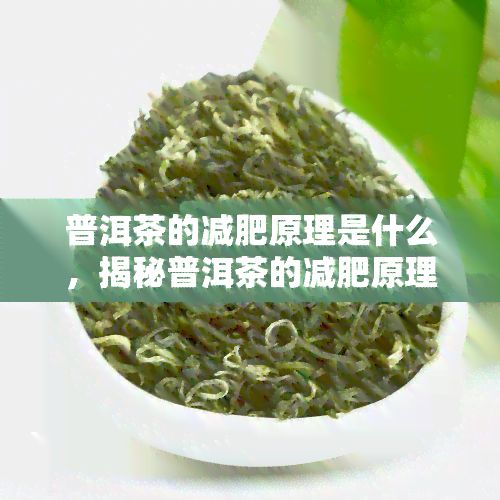 普洱茶的減肥原理是什么，揭秘普洱茶的減肥原理
