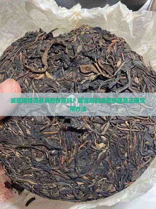 减肥喝普洱茶真的有效吗？普洱茶的减肥原理及正确饮用方法