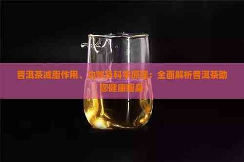 普洱茶減脂作用、功效及科學(xué)原理：全面解析普洱茶助您健康瘦身