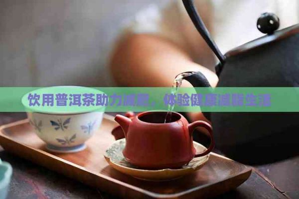 饮用普洱茶助力减肥,体验健康减脂生活
