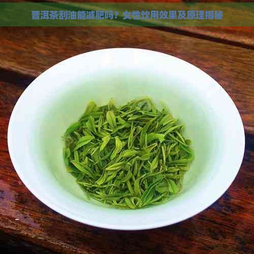 普洱茶刮油能减肥吗?女性饮用效果及原理揭秘