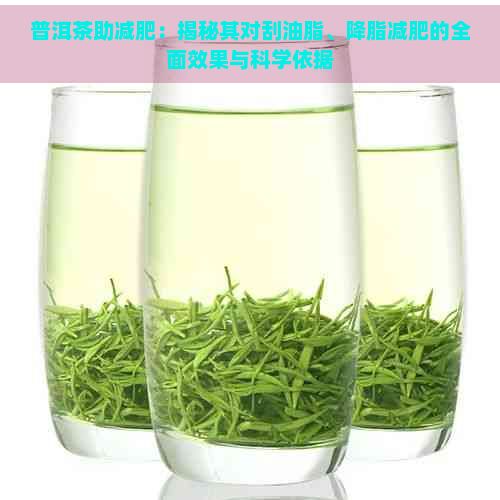普洱茶助减肥:揭秘其对刮油脂、降脂减肥的全面效果与科学依据