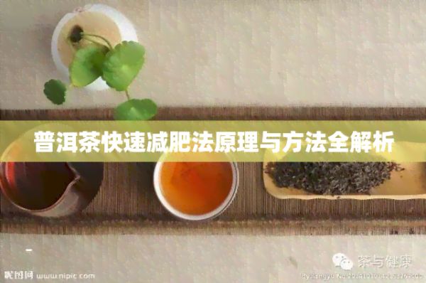 普洱茶快速減肥法原理與方法全解析