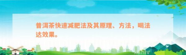 普洱茶快速減肥法及其原理、方法，喝法達效果。