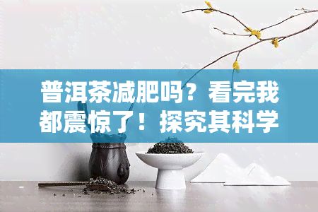 普洱茶减肥吗？看完我都震惊了！探究其科学原理与实际效果