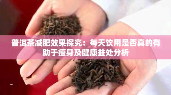 普洱茶减肥效果探究：每天饮用是否真的有助于瘦身及健康益处分析