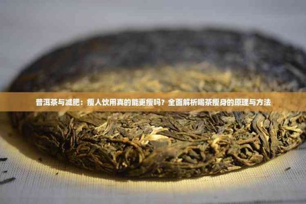 普洱茶與減肥：瘦人飲用真的能更瘦嗎？全面解析喝茶瘦身的原理與 