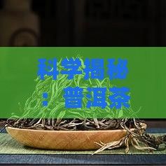 科學(xué)揭秘：普洱茶助您健康減肥，輕松享瘦