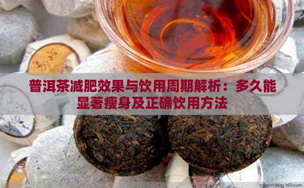 普洱茶減肥效果與飲用周期解析：多久能顯著瘦身及正確飲用方法
