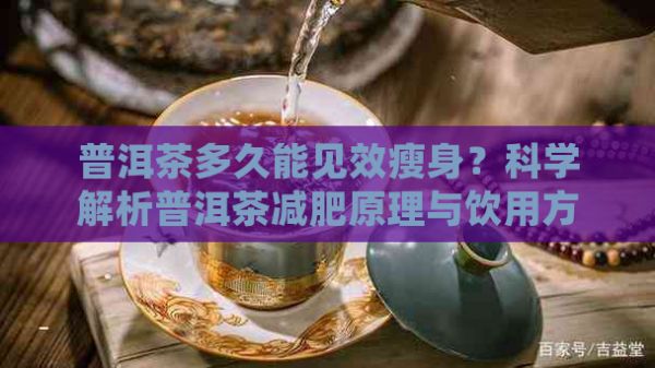 普洱茶多久能見(jiàn)效瘦身？科學(xué)解析普洱茶減肥原理與飲用方法