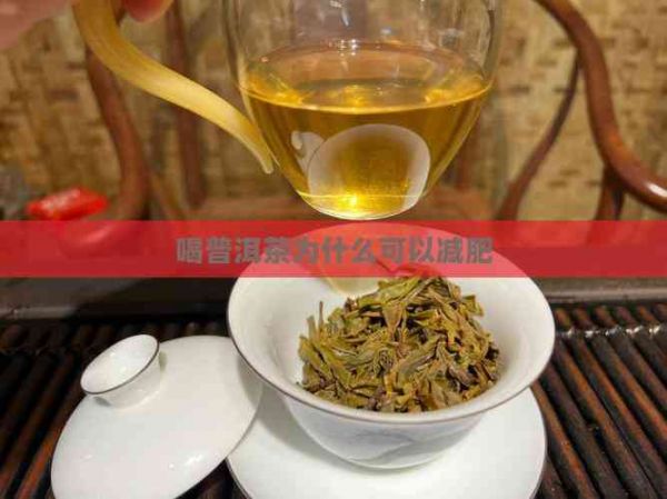 喝普洱茶為什么可以減肥