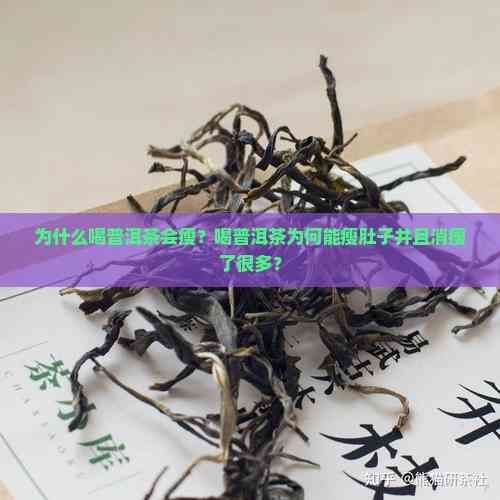 為什么喝普洱茶會瘦？喝普洱茶為何能瘦肚子并且消瘦了很多？
