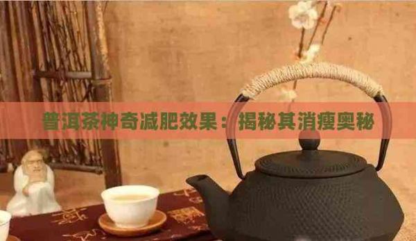 普洱茶神奇減肥效果：揭秘其消瘦奧秘