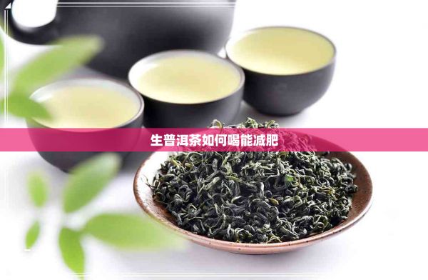 生普洱茶如何喝能減肥