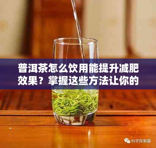 普洱茶怎么飲用能提升減肥效果？掌握這些方法讓你的效果更好！