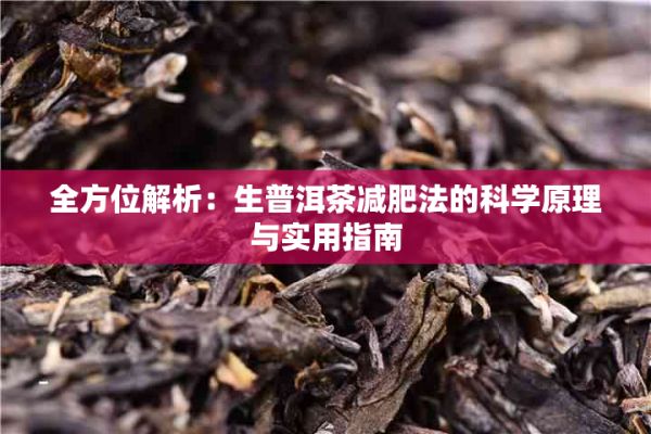 全方位解析：生普洱茶減肥法的科學(xué)原理與實(shí)用指南