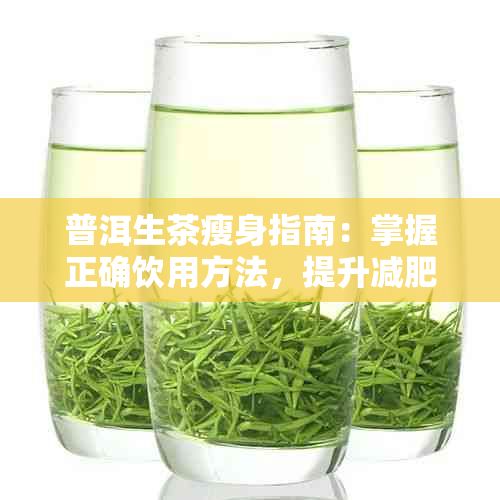 普洱生茶瘦身指南：掌握正確飲用方法，提升減肥效果與健康管理