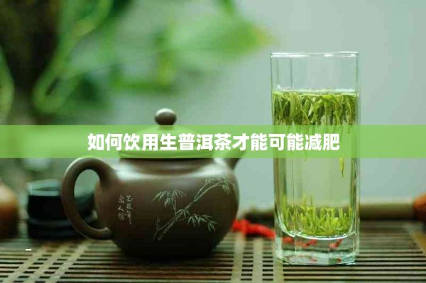 如何飲用生普洱茶才能可能減肥