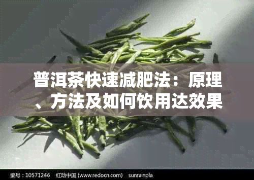 普洱茶快速減肥法：原理、方法及如何飲用達(dá)效果