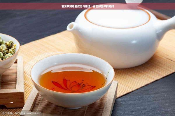 普洱茶減肥的成分與原理：全面解答你的疑問