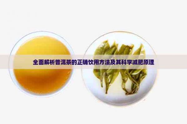 全面解析普洱茶的正確飲用方法及其科學(xué)減肥原理