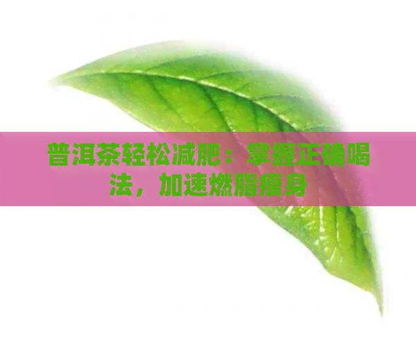 普洱茶轻松减肥：掌握正确喝法，加速燃脂瘦身
