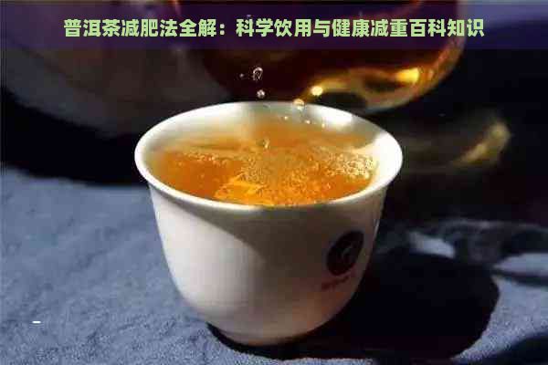 普洱茶減肥法全解：科學(xué)飲用與健康減重百科知識(shí)