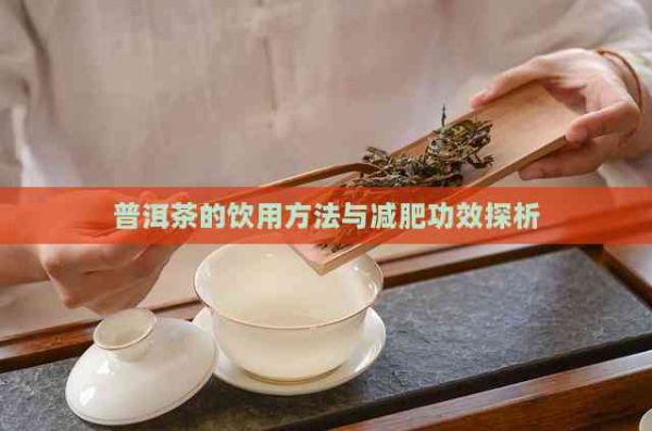 普洱茶的飲用方法與減肥功效探析
