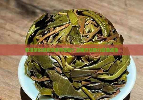 普洱茶的減肥效果有哪些？正確方法助力健康減重