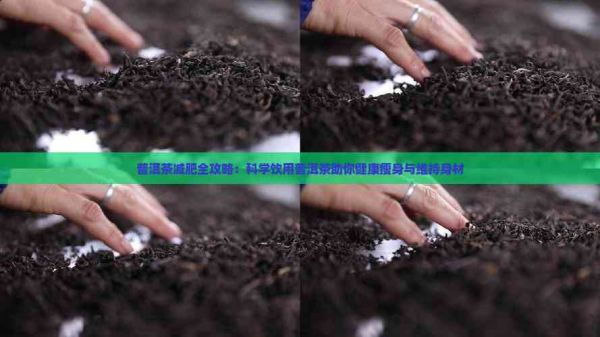 普洱茶减肥全攻略：科学饮用普洱茶助你健康瘦身与维持身材