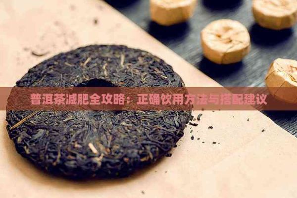普洱茶減肥全攻略：正確飲用方法與搭配建議