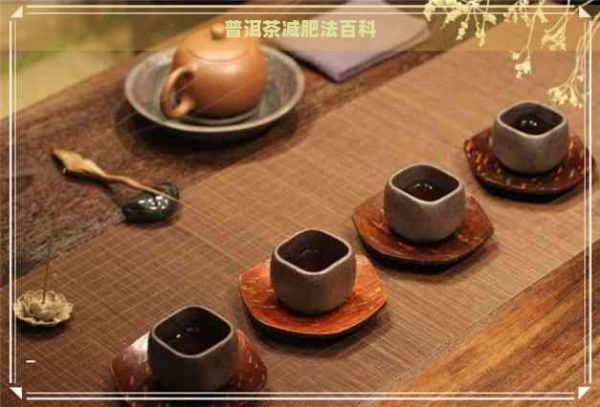 普洱茶減肥法百科