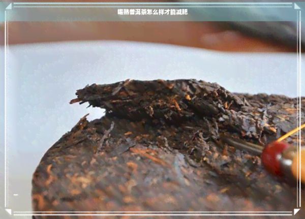喝熟普洱茶怎么样才能减肥