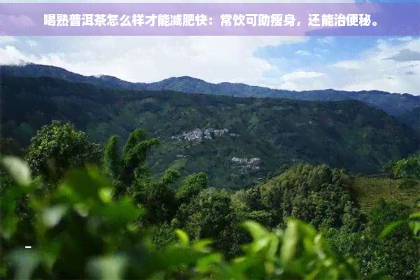 喝熟普洱茶怎么样才能减肥快：常饮可助瘦身，还能治便秘。