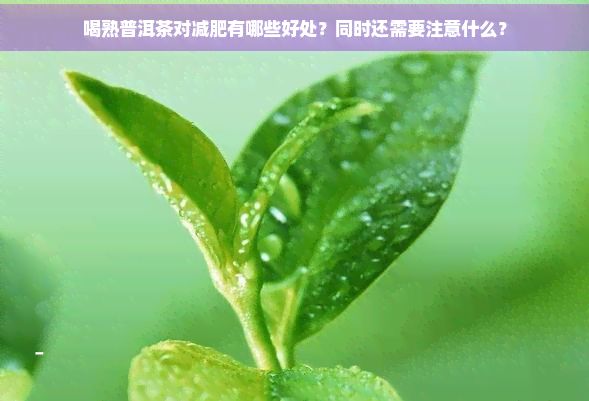 喝熟普洱茶对减肥有哪些好处？同时还需要注意什么？