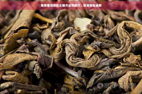 喝熟普洱茶的正确方法和技巧，助你轻松减肥