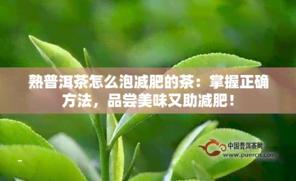 熟普洱茶怎么泡減肥的茶：掌握正確方法，品嘗美味又助減肥！
