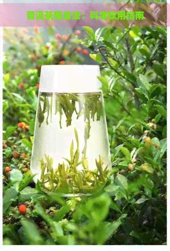 普洱茶瘦身法：科學(xué)飲用指南