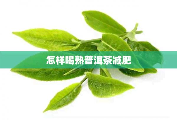 怎樣喝熟普洱茶減肥