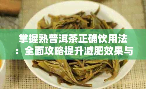 掌握熟普洱茶正確飲用法：全面攻略提升減肥效果與健康管理