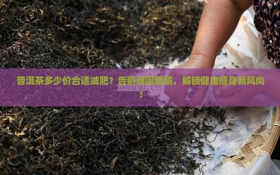 普洱茶多少價合適減肥