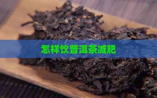 怎样饮普洱茶减肥